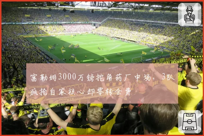 富勒姆3000万镑挖角药厂中场，3队疯抢自家核心却零转会费