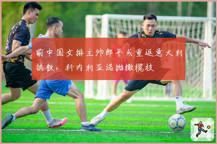 前中国女排主帅郎平或重返意大利执教,科内利亚诺抛橄榄枝