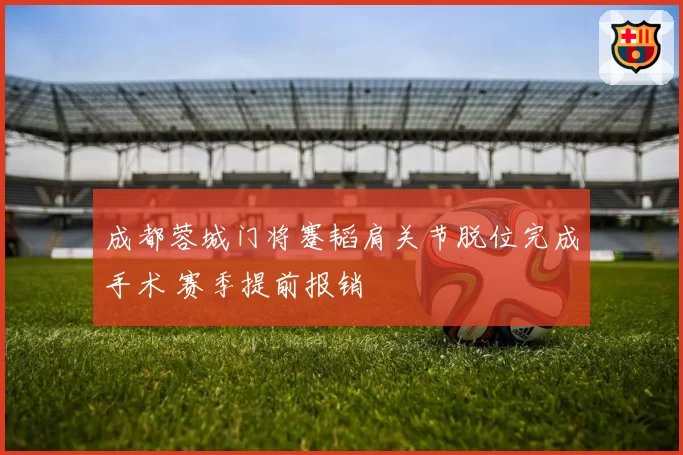 成都蓉城门将蹇韬肩关节脱位完成手术 赛季提前报销