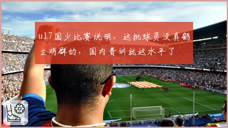 u17国少比赛说明，这批球员没真鹤立鸡群的，国内青训就这水平了
