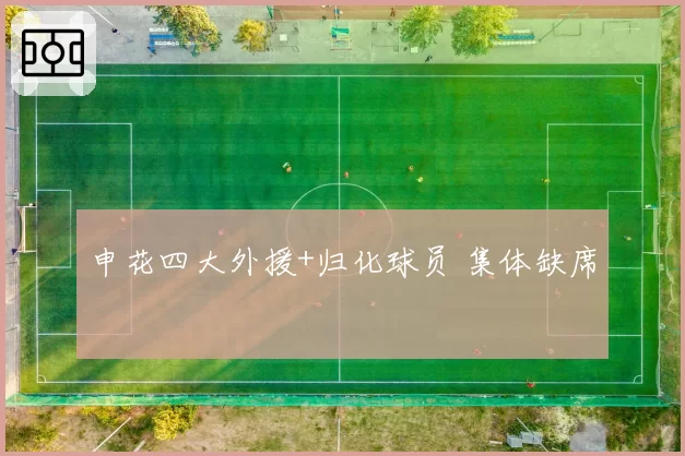 申花四大外援+归化球员 集体缺席