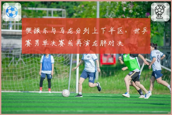 樊振东与马龙分列上下半区，世乒赛男单决赛或再演龙胖对决