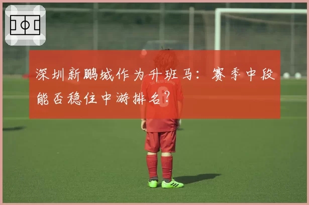 深圳新鹏城作为升班马：赛季中段能否稳住中游排名？