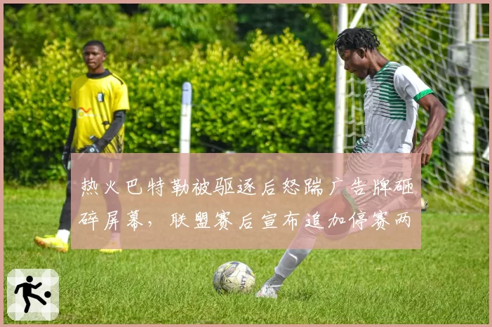 热火巴特勒被驱逐后怒踹广告牌砸碎屏幕，联盟赛后宣布追加停赛两场处罚