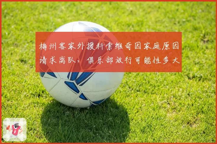 梅州客家外援科索维奇因家庭原因请求离队，俱乐部放行可能性多大？